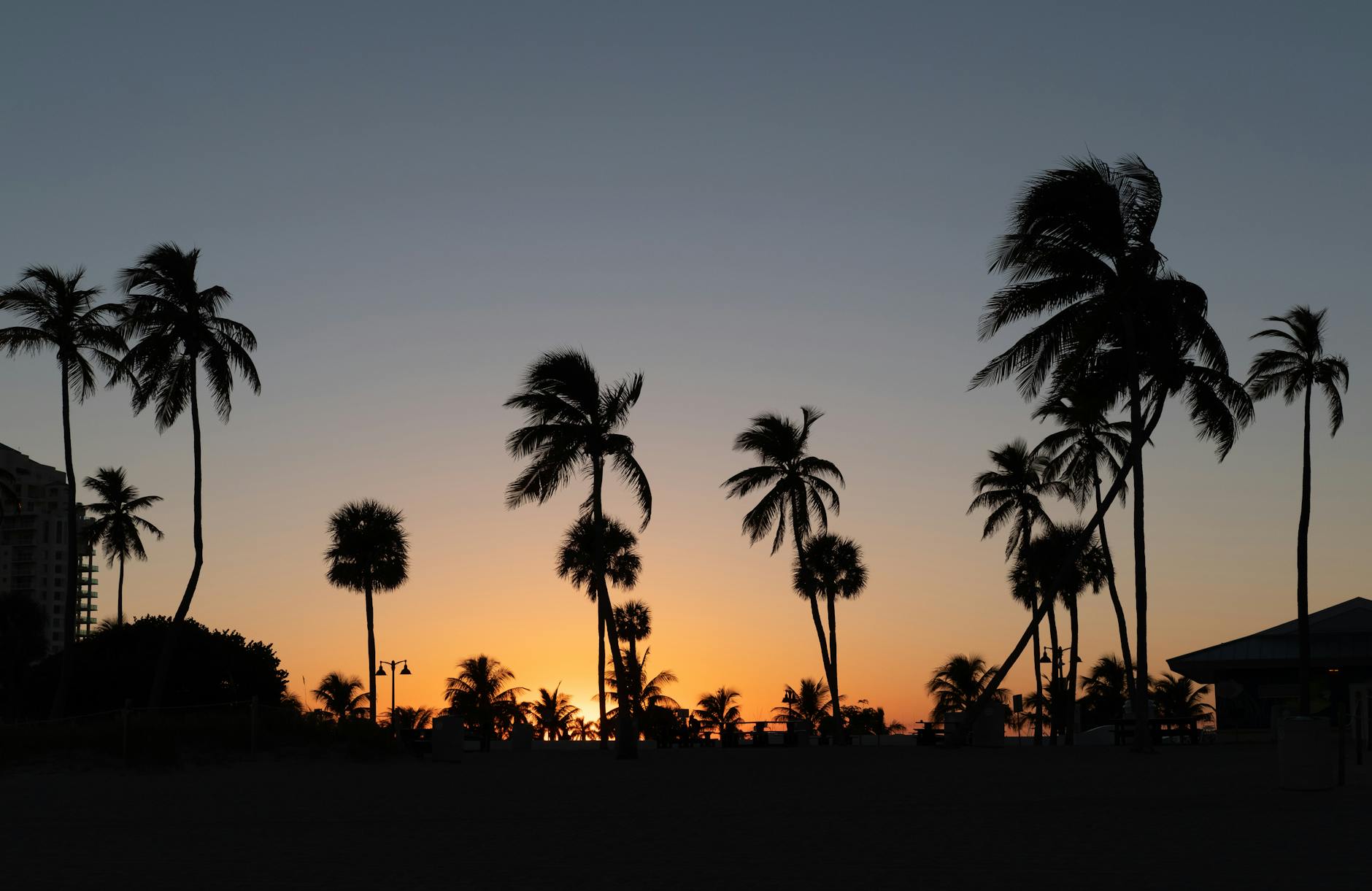 Paradise Sunset