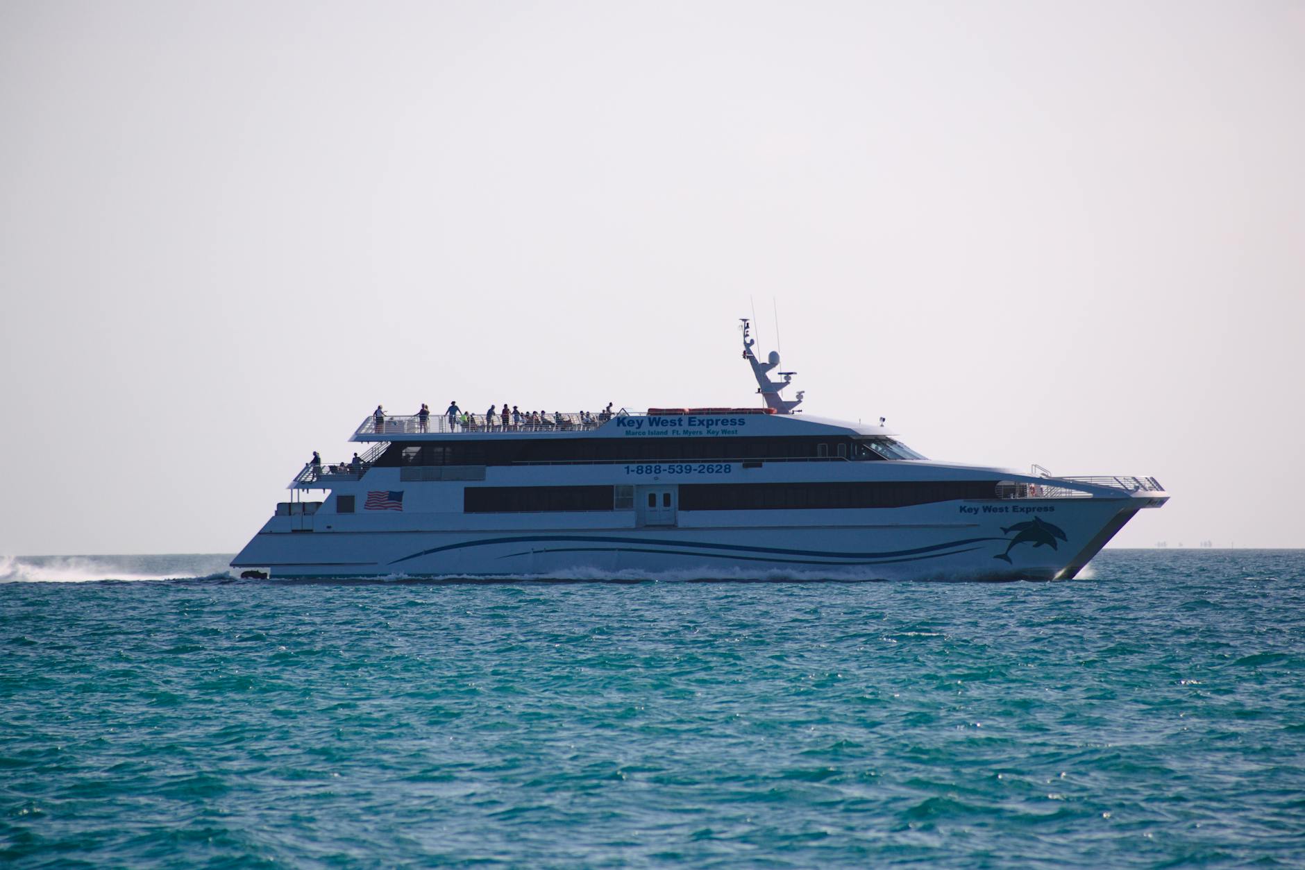 Cruises & Ships